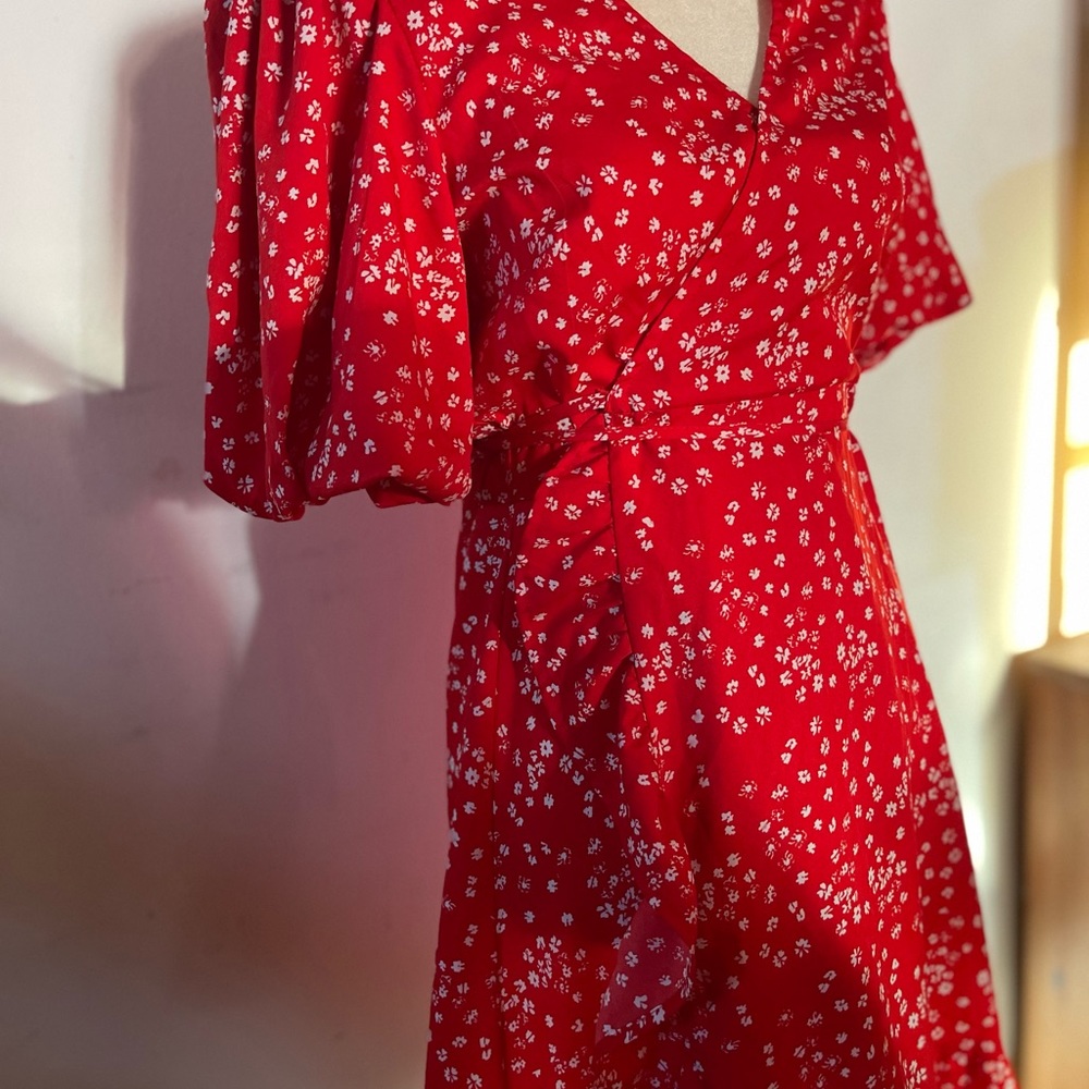 Red Dress - Picture 10 of 16